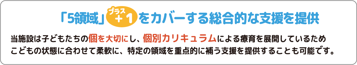 「５領域」プラス＋１をカバーする総合的な支援を提供